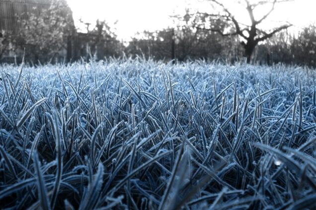 В Украину придут первые заморозки: прогноз погоды на конец рабочей недели