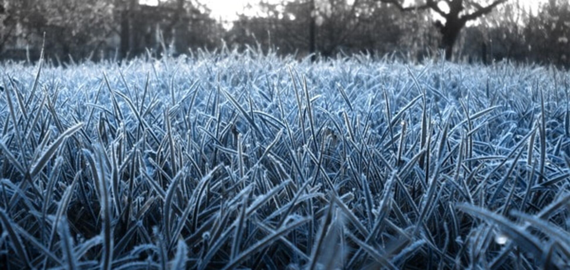 В Украину придут первые заморозки: прогноз погоды на конец рабочей недели