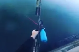 Болельщиков поставило в тупик феноменальное видео с рыбалки спортивных лучников