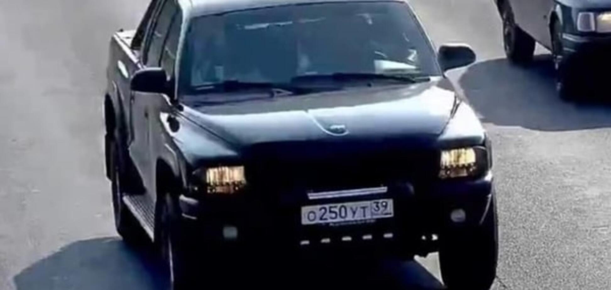 Мир не без добрых людей: автомобилист спас от смерти котенка на оживленной трассе - видео