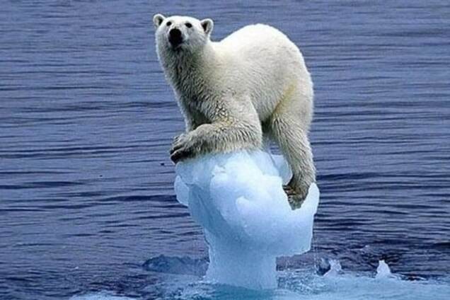 В Арктике площадь льда достигла рекордного минимума