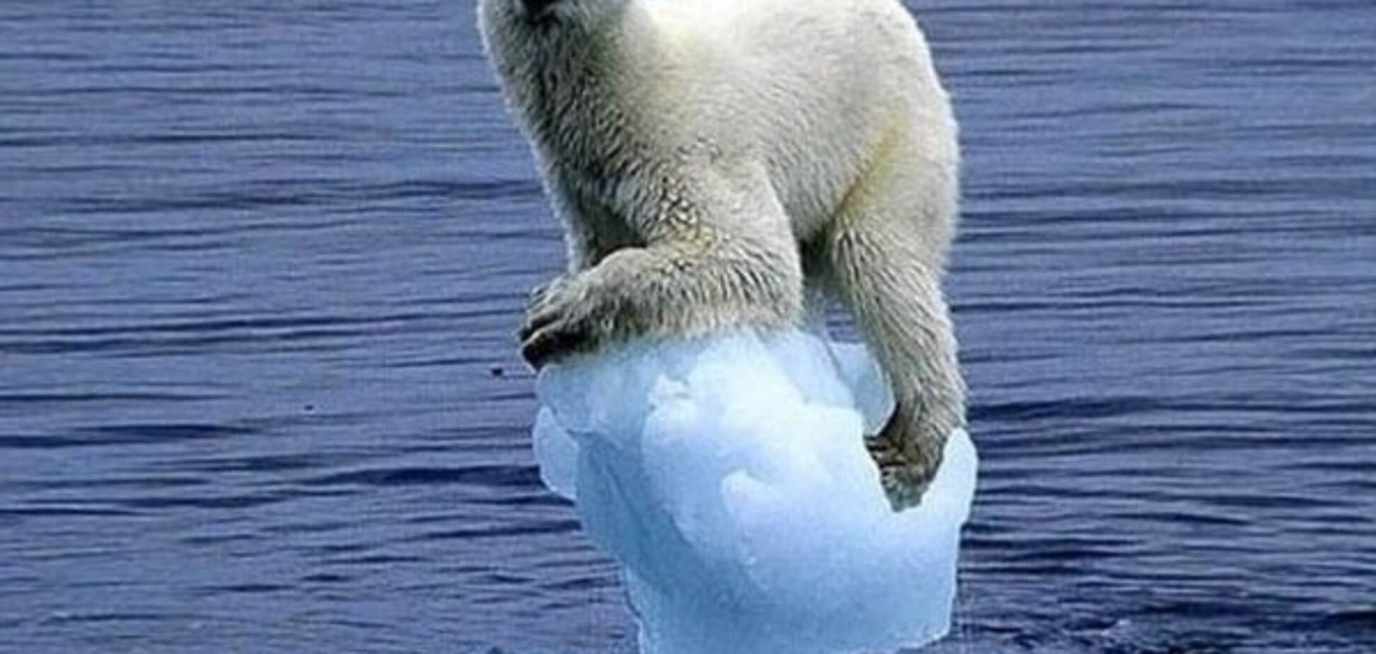 В Арктике площадь льда достигла рекордного минимума