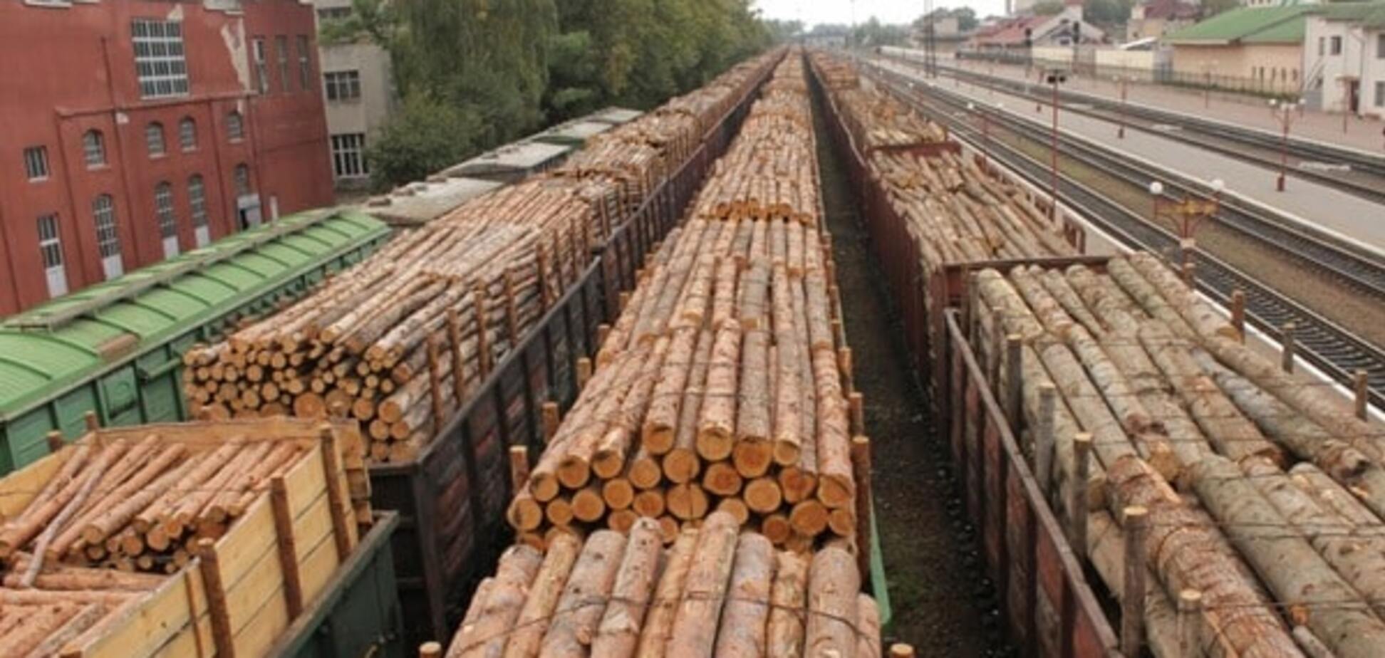 Вимагаю від міністра фінансів перекрити контрабанду лісу-кругляку