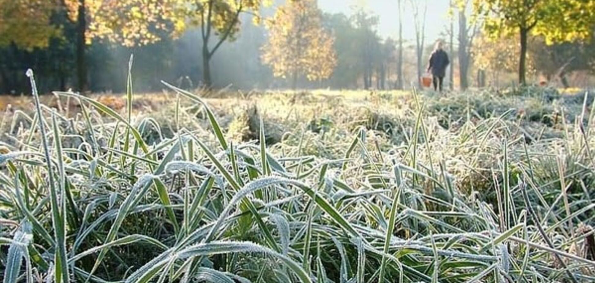 В Україну йдуть заморозки: прогноз погоди на вихідні і початок робочого тижня