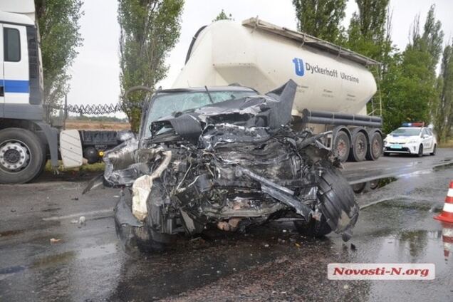 ДТП под Николаевом: из-за метавшихся по салону авто собак произошла авария  - трасса Николаев-Херсон, Toyota RAV4, тягач MAN, выставка собак |  Обозреватель | OBOZ.UA