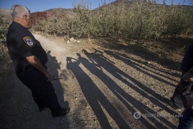 Запад начинает действовать методами Путина