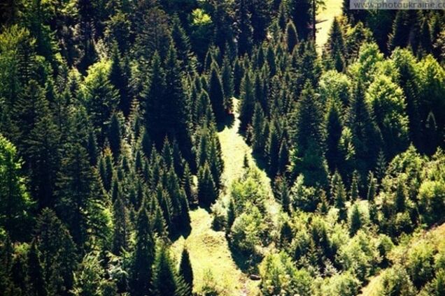 Україна має десятикратний економічний потенціал для зростання