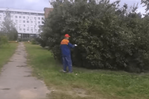 А что тут такого? В Беларуси засняли рабочего, красящего листья для Лукашенко. Видеофакт