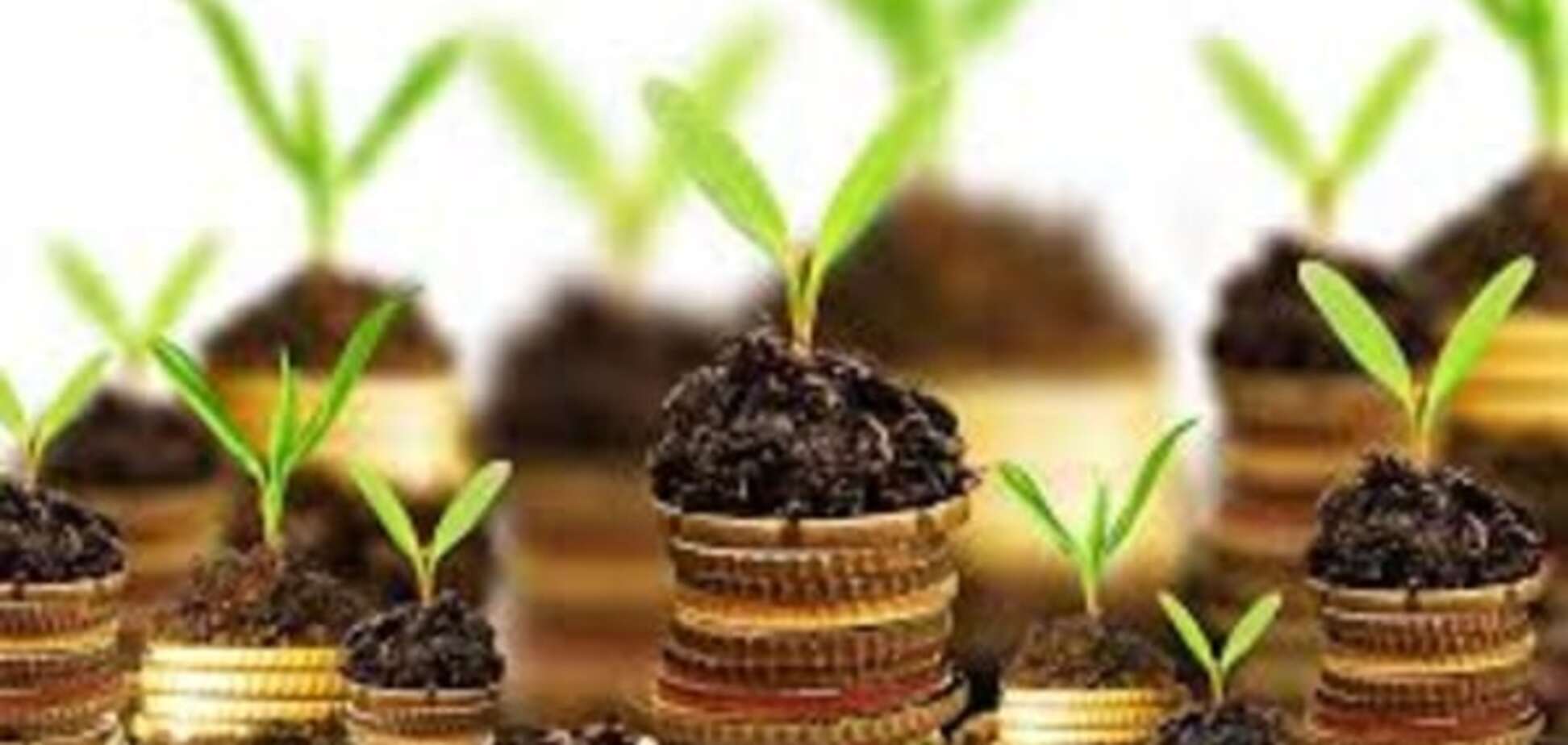 Дорогая наша: кто выиграет от открытого рынка земли в Украине