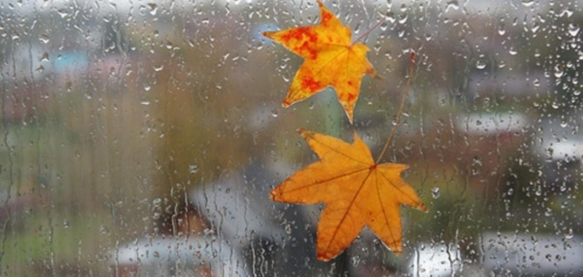 В Украину идут холод и дожди: прогноз погоды на неделю