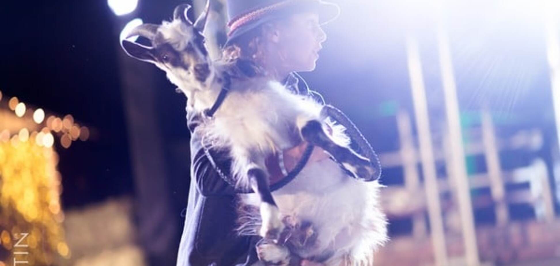 В киевском зоопарке засекли шумную светскую вечеринку