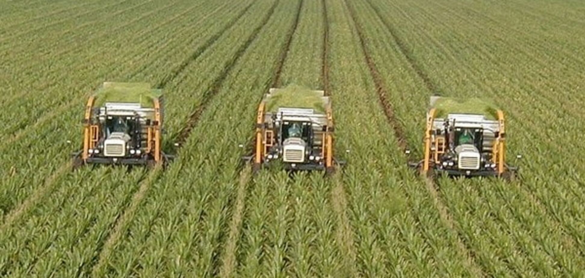 Поле битвы: имущество агрохолдинга 'Мрия' остается яблоком раздора