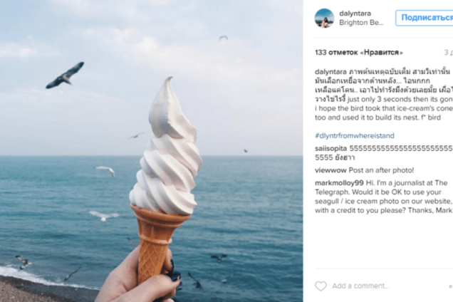 Чайка украла мороженое
