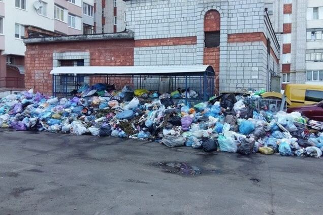 'На людей скоро будут бросаться крысы': львовский двор 'утонул' в мусоре