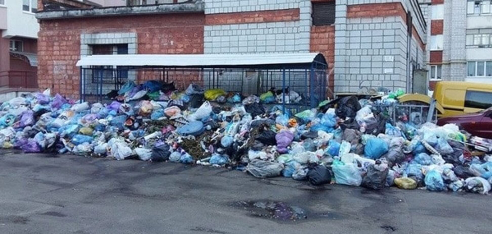 'На людей скоро будут бросаться крысы': львовский двор 'утонул' в мусоре