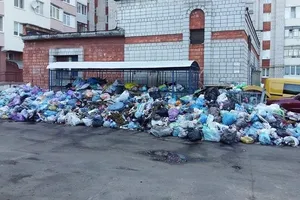 "На людей скоро будут бросаться крысы": львовский двор "утонул" в мусоре