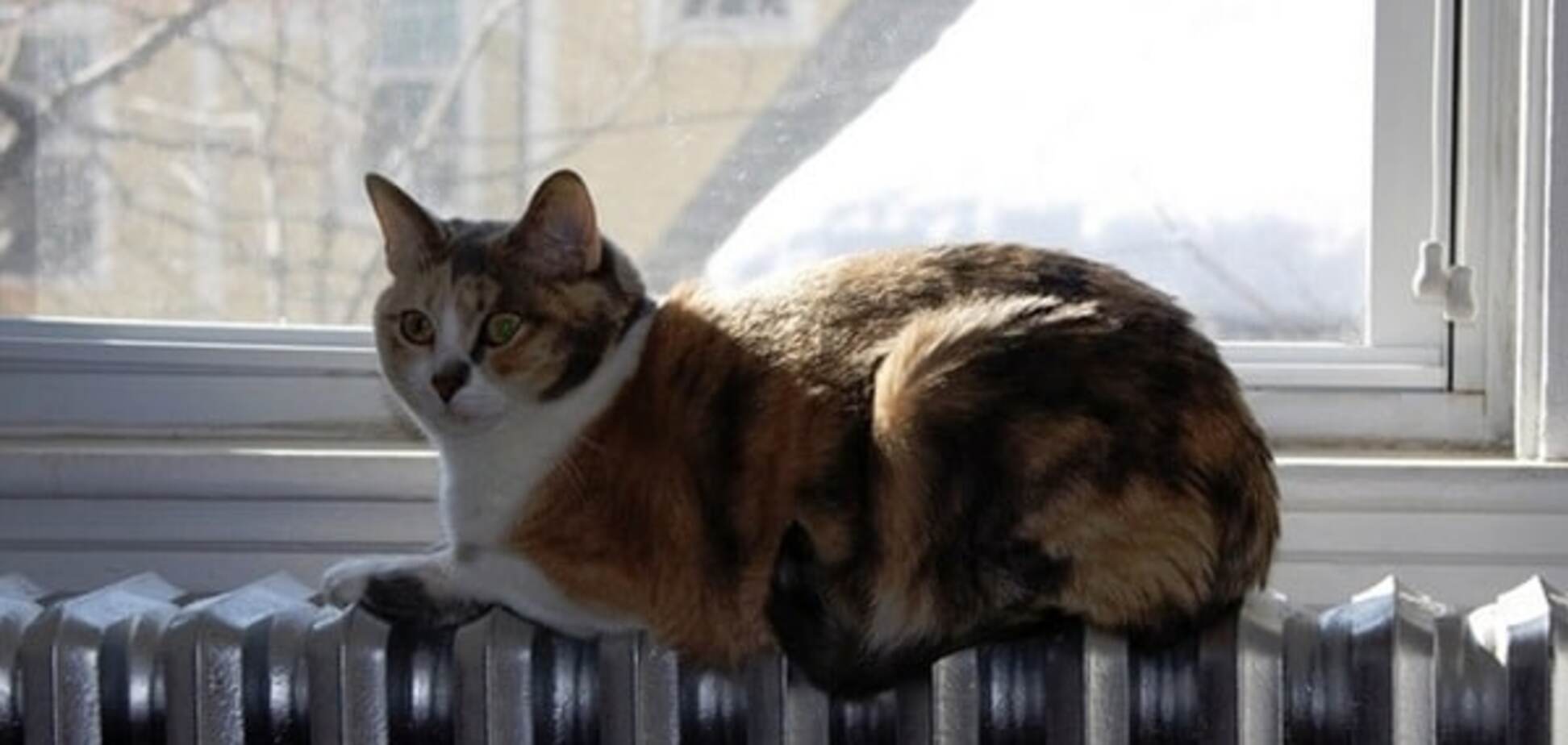 В Минрегионе Украины подсчитали, сколько домов успели подготовить к холодам