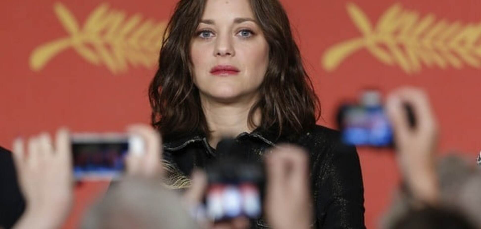 Марион Котийяр шокирована обвинениями в причастности к разводу Джоли и Питта