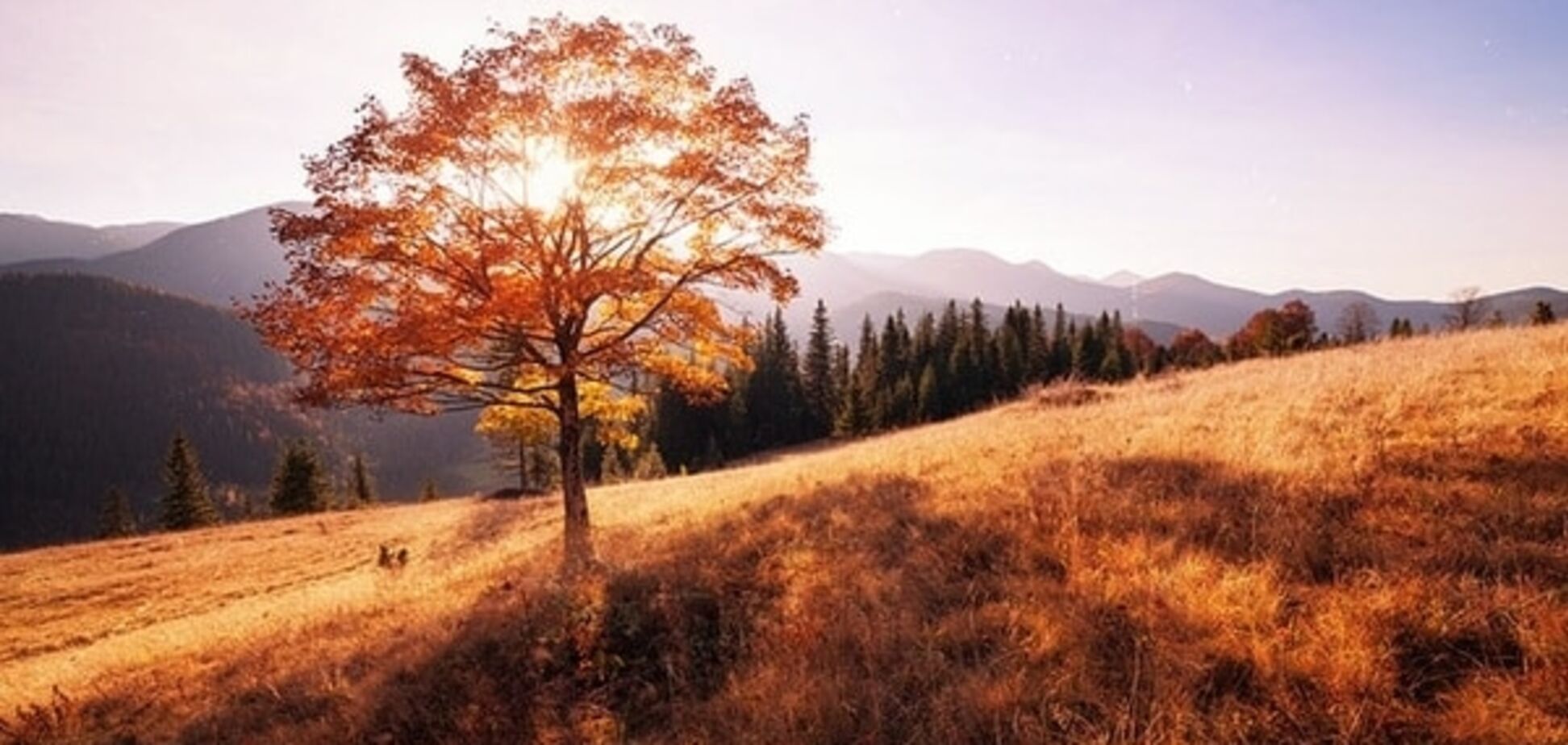 Осінь в Карпатах: 5 варіантів відпочинку у гірському царстві - опубліковано фото