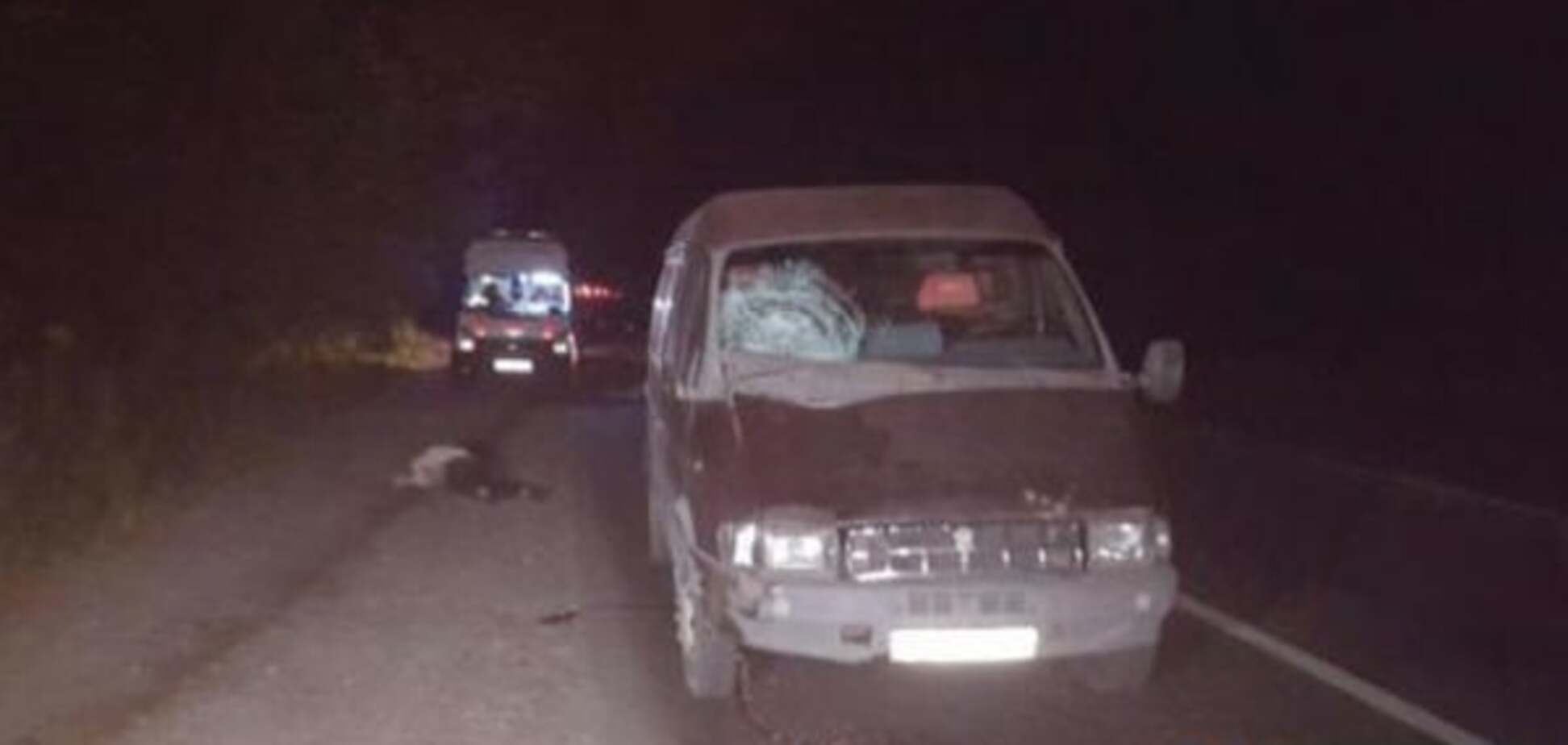 Под Киевом автомобиль сбил насмерть пешехода