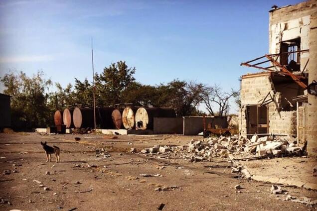 'Оглядывается и ждет': украинский воин рассказал о собачьей преданности в зоне АТО. Фотофакт