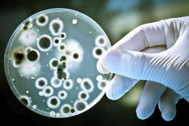 Спасти современную медицину: страны ООН объединились перед главной угрозой человечества