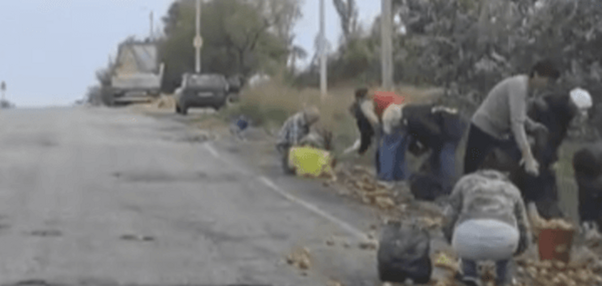 На улице праздник: в Керчи растащили 25 тонн яблок из перевернутого грузовика. Видеофакт