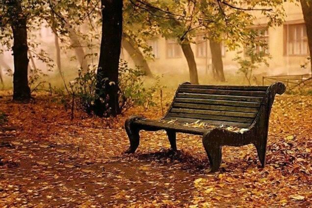 Кто виноват и что делать: ответит экспресс-тест 'скамейка'