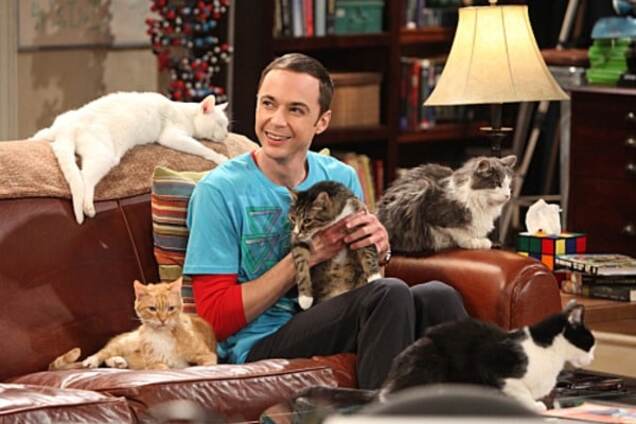 Звезда 'Теории большого взрыва' признан самым высокооплачиваемым актером телевидения