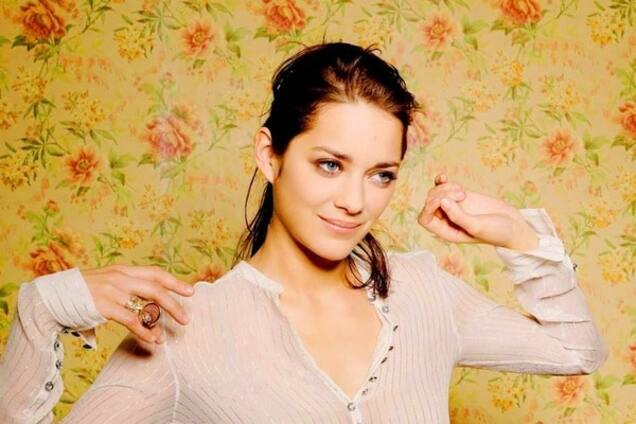 Котийяр, обвиненная в разводе Питта и Джоли, призналась, что беременна