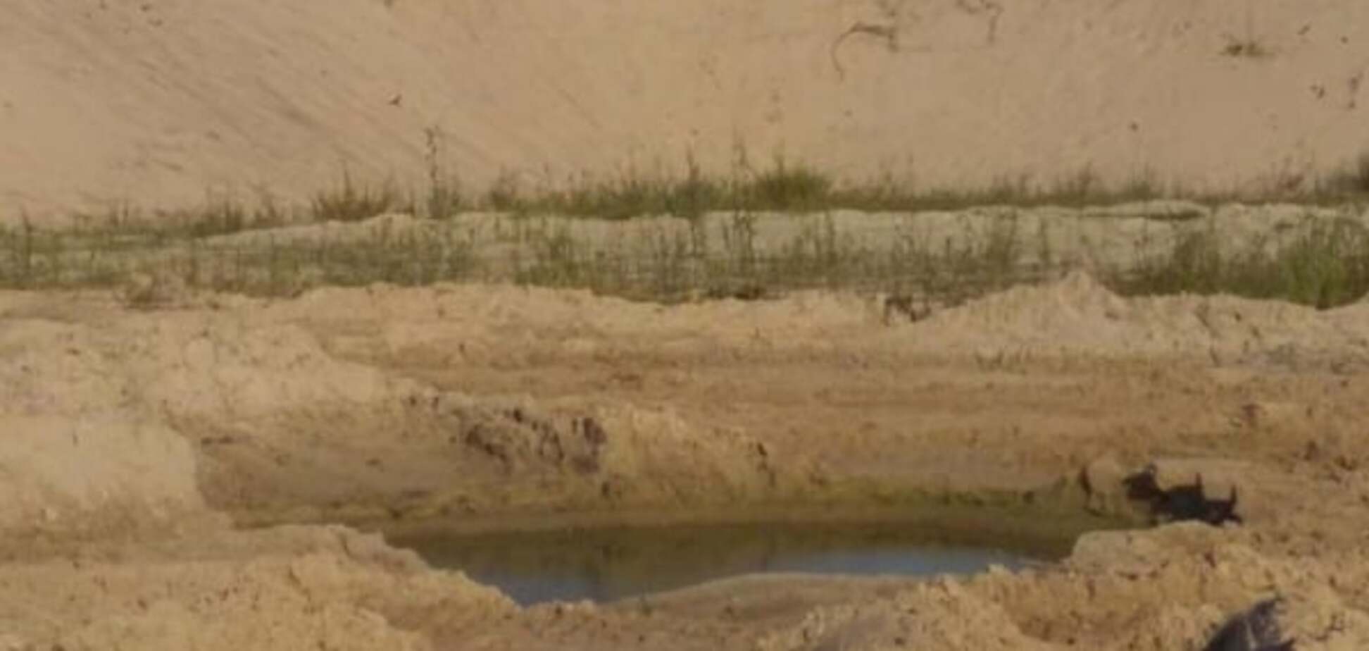 Борьба с незаконной добычей песка: на Киевщине опять засекли копателей