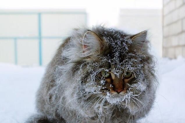 Самая холодная за 32 года: синоптик посоветовал украинцам готовиться к суровой зиме