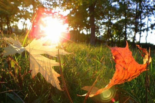 Почти бабье лето: синоптики дали прогноз на выходные