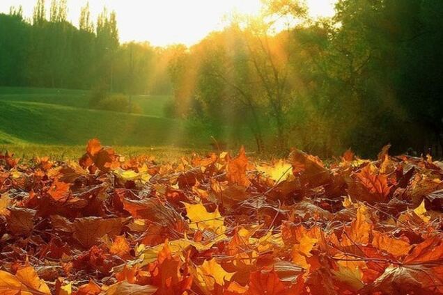 Дождь и солнце: синоптики дали прогноз погоды на субботу