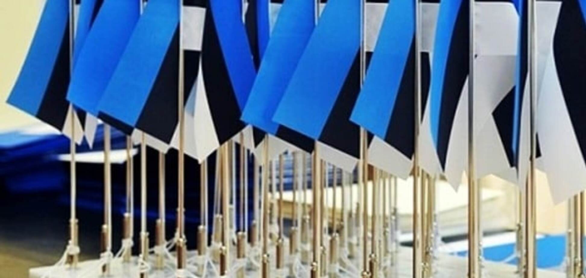 Никак не определятся: в Эстонии в очередной раз не смогли выбрать президента