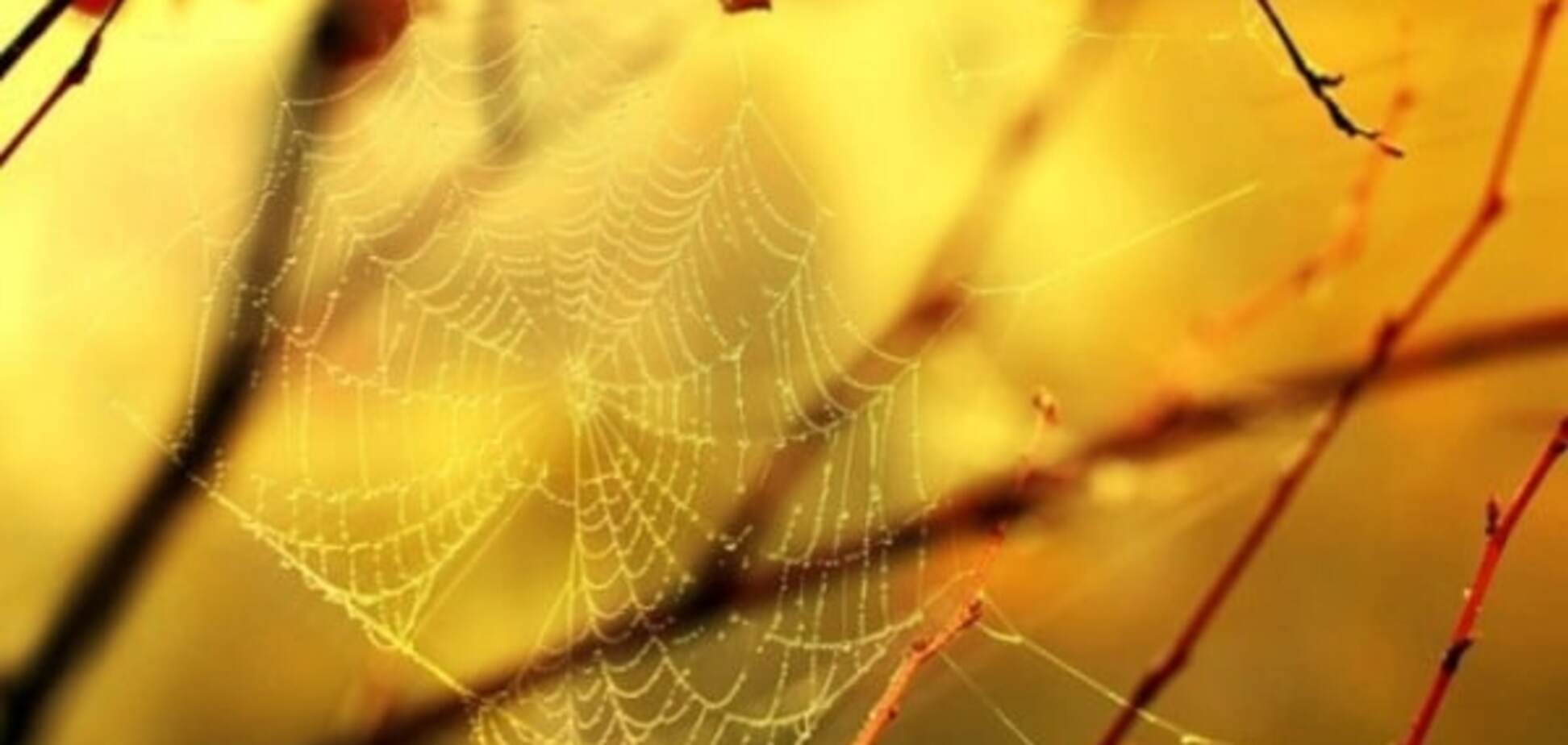 Бабине літо в Україні