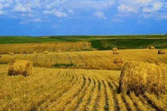 Змінити курс країни. Хто і якими ідеями?