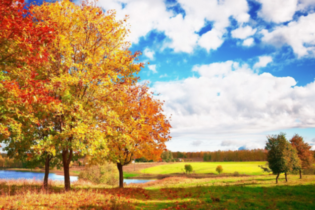 В Украине настало бабье лето