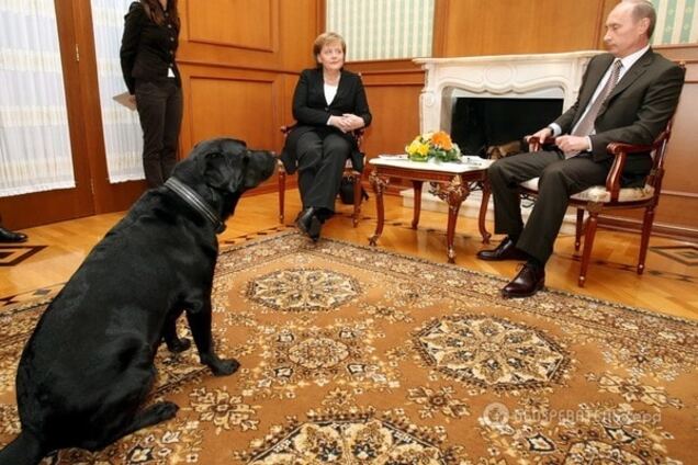 Припомнила собаку: эксперт пояснил жесткий ответ Меркель Путину