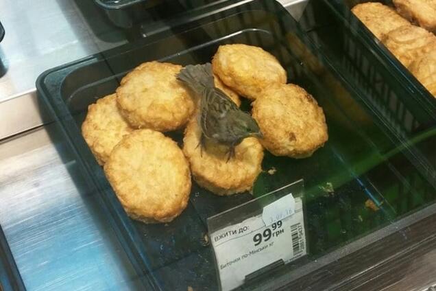 В киевском супермаркете в витрине с биточками разгуливал воробей: опубликовано фото