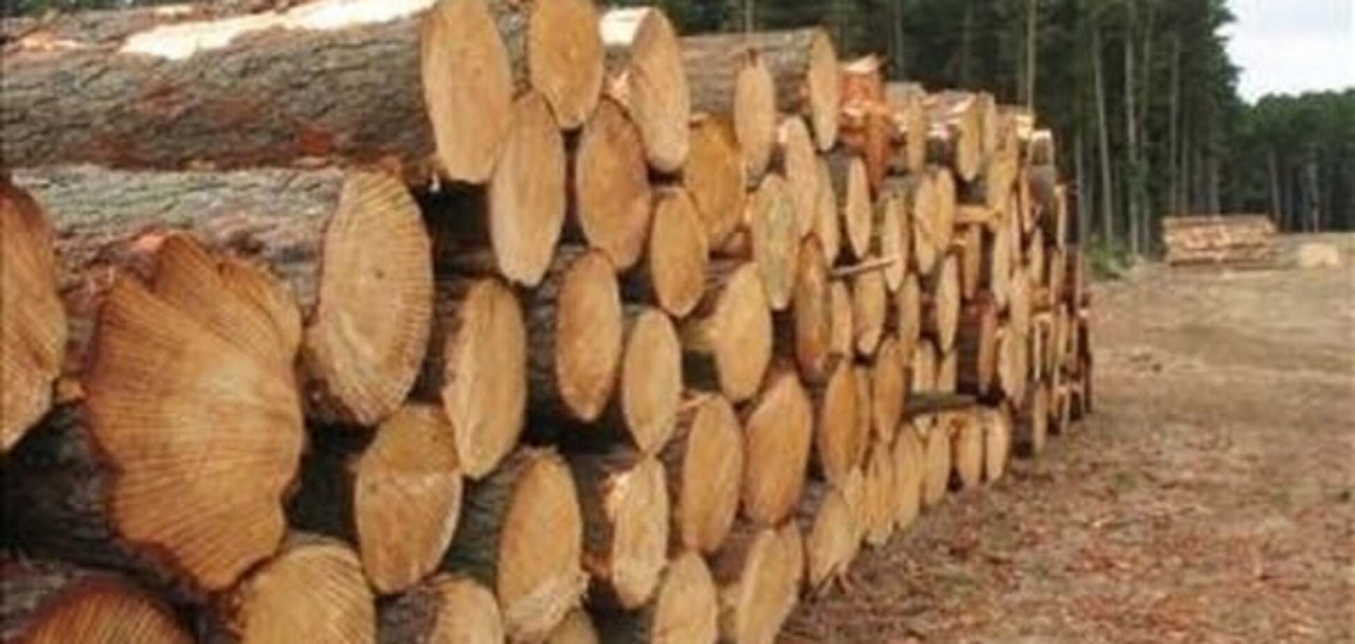 Мораторій на експорт лісу-кругляка вигідний Україні