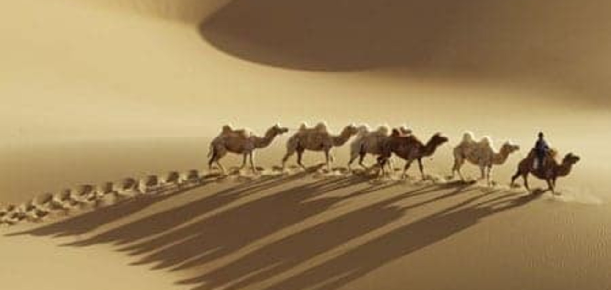 Царь пустыни: секреты выживания верблюда в суровых условиях