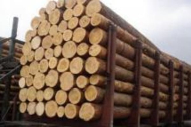 ГФС раскрыла очередную схему контрабанды леса на 10 млн гривен