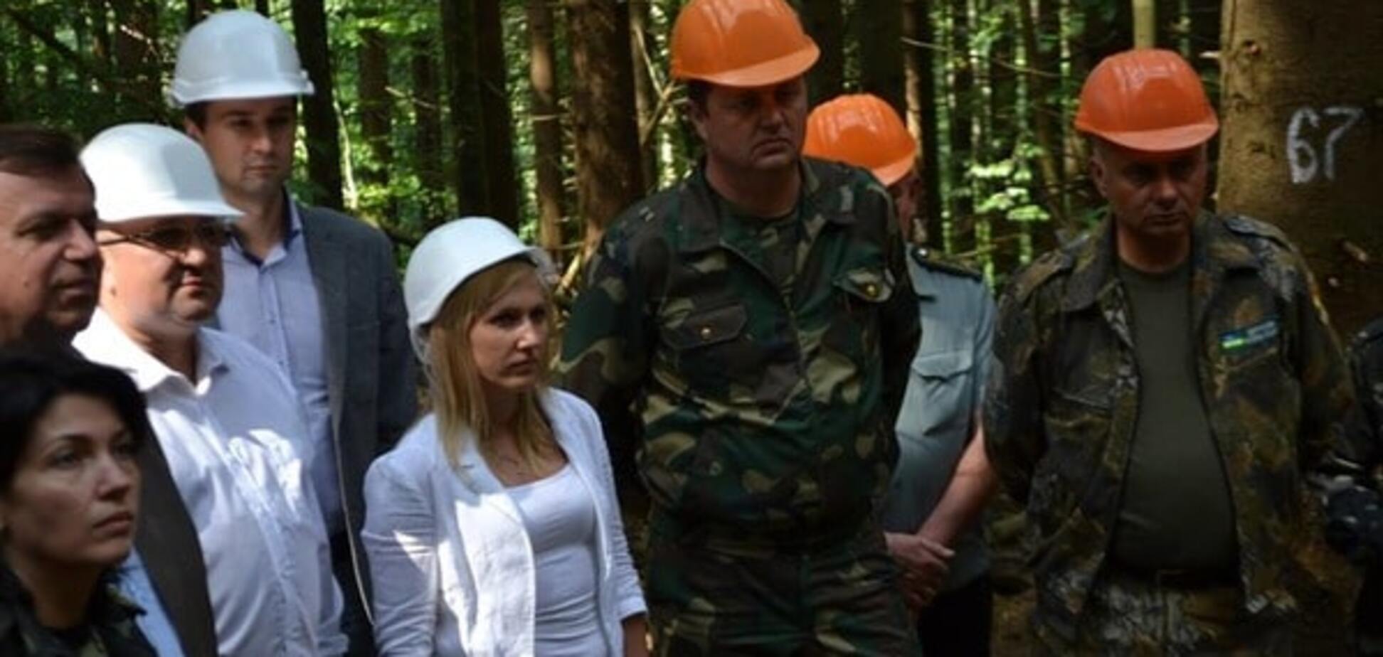 Ліс і жінка