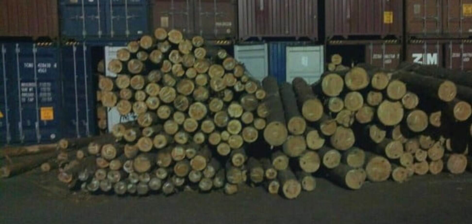 Незаконный экспорт леса: на Одесщине суд арестовал имущество одного из предприятий