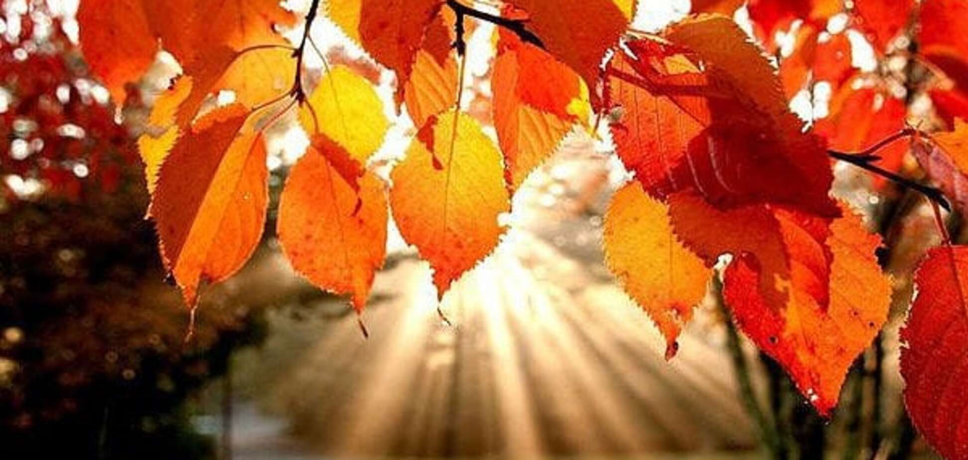 Погода в Украине: синоптики дали прогноз на выходные