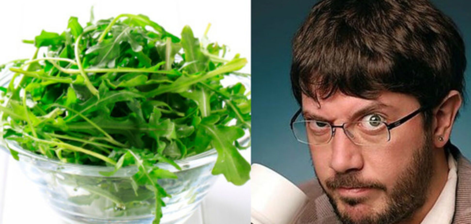 артемий лебедев руккола