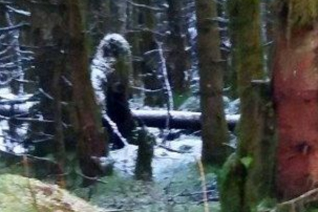 Снігова людина