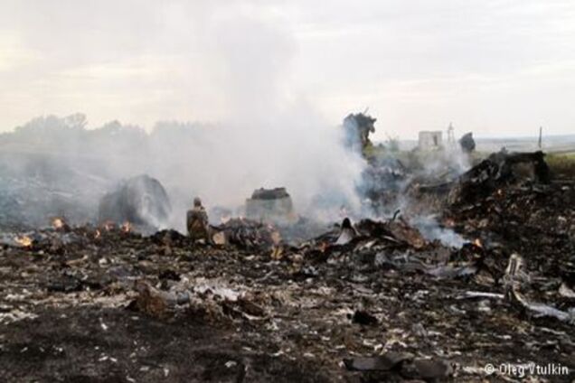 Родичі жертв рейсу MH17 вимагають відновити пошуки останків в Україні