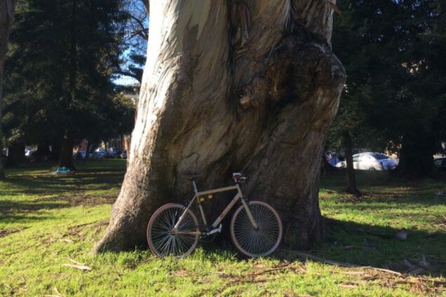 'Тупые пиндсы', или В России так не жить